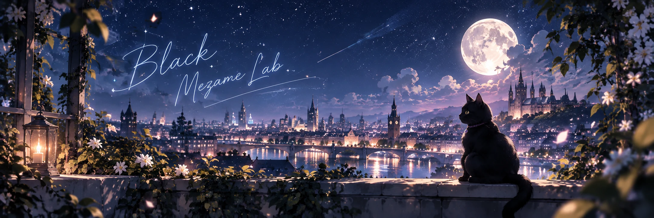Black Mezame Lab — 月夜の街を眺める黒猫